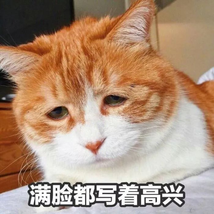 bet8·(股份)有限公司官网