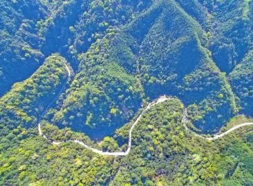 智能化，，，，，，让森林防火监控管护更“智慧”