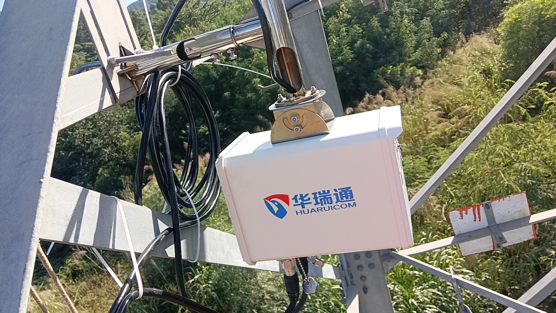 林区输配电走廊：智能防火监控与植被治理系统构建